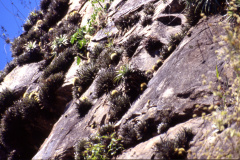 Rio Mojotoro ME 39 - Foto Eichler