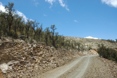 Standort Parodia hegeri MU-498.1 Calapaya-Turuchipa Foto Mucha