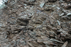 Paerodia heteracantha MU 650.1 Rancagua - Foto Mucha